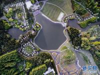  【大美中國】航拍上海東平國家森林公園