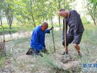 你是我的眼：感動(dòng)世界的植樹老人