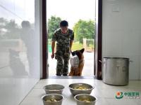 武警重慶總隊警犬班 萌犬叼水管幫主人洗頭