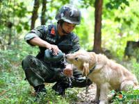 武警重慶總隊警犬班 萌犬叼水管幫主人洗頭