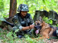 武警重慶總隊警犬班 萌犬叼水管幫主人洗頭