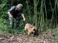 武警重慶總隊警犬班 萌犬叼水管幫主人洗頭