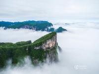 張家界天門山現(xiàn)云海奇觀 山體似“懸浮”空中