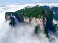 張家界天門山現(xiàn)云海奇觀 山體似“懸浮”空中