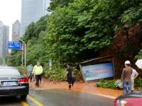 長沙遭遇今夏最強(qiáng)暴雨 望江公園山體垮塌