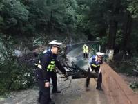 江西廬山現(xiàn)8級以上雷雨大風 公路發(fā)生山體滑坡