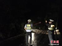 江西廬山現(xiàn)8級以上雷雨大風 公路發(fā)生山體滑坡