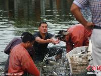 村民因暴雨將轉(zhuǎn)移 魚(yú)塘中忍痛撈魚(yú)賤賣