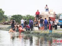 村民因暴雨將轉(zhuǎn)移 魚(yú)塘中忍痛撈魚(yú)賤賣