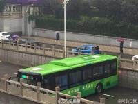 河北邢臺暴雨中現“最?！惫卉嚨纛^