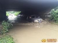 成都隧道積水 “撈牌哥”2天撈20多副車牌