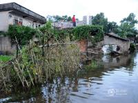 南寧村莊被雨水浸泡 村民在水中吃住 