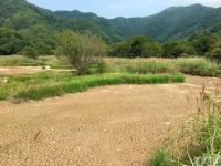 湖北神農(nóng)架大九湖國家濕地公園疑遇