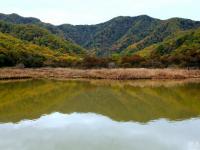 湖北神農(nóng)架大九湖國家濕地公園疑遇