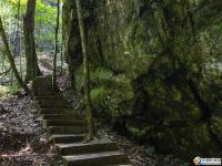 【醉美邵陽(yáng)】洞口羅溪森林公園