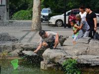 組圖：鄭州一公園景觀池觀賞魚(yú)遭游客捕撈