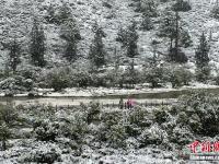 四川稻城亞丁九月飄雪銀裝素裹