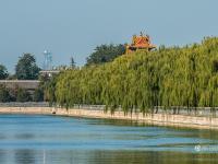 北京霧霾散去 黃葉映紅墻開啟最美秋景