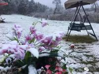 北京首場雪降落延慶海坨山 呈“海坨戴雪”景觀