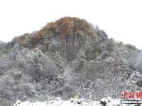 組圖：冬天悄悄來臨，各地陸續(xù)迎來降雪