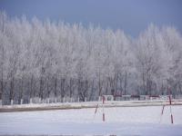 黑龍江牡丹江市現(xiàn)霧凇美景 冰天雪地美如畫