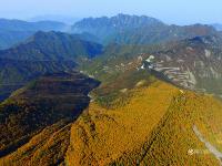 航拍秦嶺太白山72道彎 看著眼暈