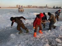 哈爾濱松花江上工人取冰 裝運(yùn)各冰雪景區(qū)