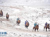 內(nèi)蒙古雪域草原賽駱駝 牧民著民族盛裝