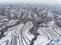  黃土高原降春雪 黑白分明如畫(huà)卷