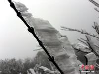 廣東連山縣金子山再降春雪現(xiàn)奇特冰桂