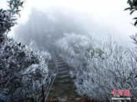 廣東連山縣金子山再降春雪現(xiàn)奇特冰桂