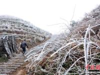 強(qiáng)冷空氣橫掃廣西 高寒山區(qū)道路結(jié)冰