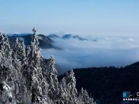 航拍神農(nóng)架林區(qū)雪后初霽 原始森林玉琢銀裝