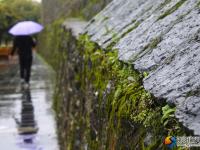 【醉美邵陽(yáng)】春雨時(shí)節(jié)亦如畫