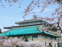 花都開(kāi)好了