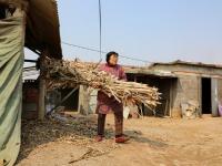 七旬母親伺候植物人兒子九年 盼現(xiàn)奇跡
