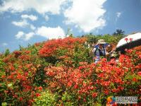 邵陽縣河伯嶺風(fēng)光錦繡 鄉(xiāng)村旅游如火如荼