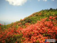 邵陽縣河伯嶺風(fēng)光錦繡 鄉(xiāng)村旅游如火如荼