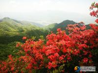 邵陽縣河伯嶺風(fēng)光錦繡 鄉(xiāng)村旅游如火如荼