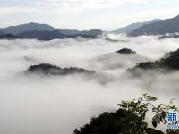  雨后云海如畫