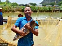 廣東佛山捕魚大戰(zhàn) 壯漢抱大魚如同抱娃