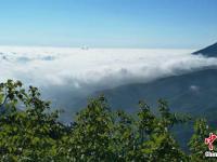  “道源圣地”崆峒山夏日云海煙波浩渺