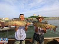  博斯騰湖魚兒滿艙漁民樂