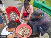 洪水淹沒玉米地 農(nóng)民改釣魚每天釣百條