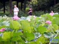  福州：看花觀鳥兩相宜