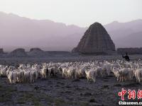 領略寧夏風光 展現(xiàn)西北魅力