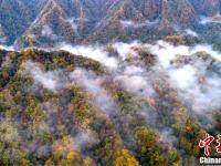 四川光霧山層林盡染云霧繚繞如仙境