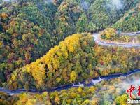 四川光霧山層林盡染云霧繚繞如仙境