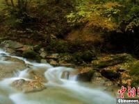 雨中的光霧山秋色美得奪人心魄