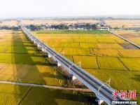 航拍即將通車的九景衢鐵路 穿越金黃田野